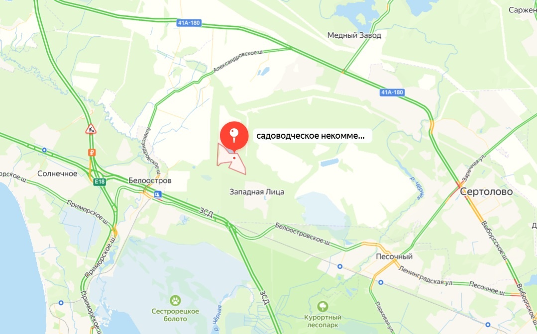 СНТ Осинка. Фото: скриншот сервиса Яндекс.Карты