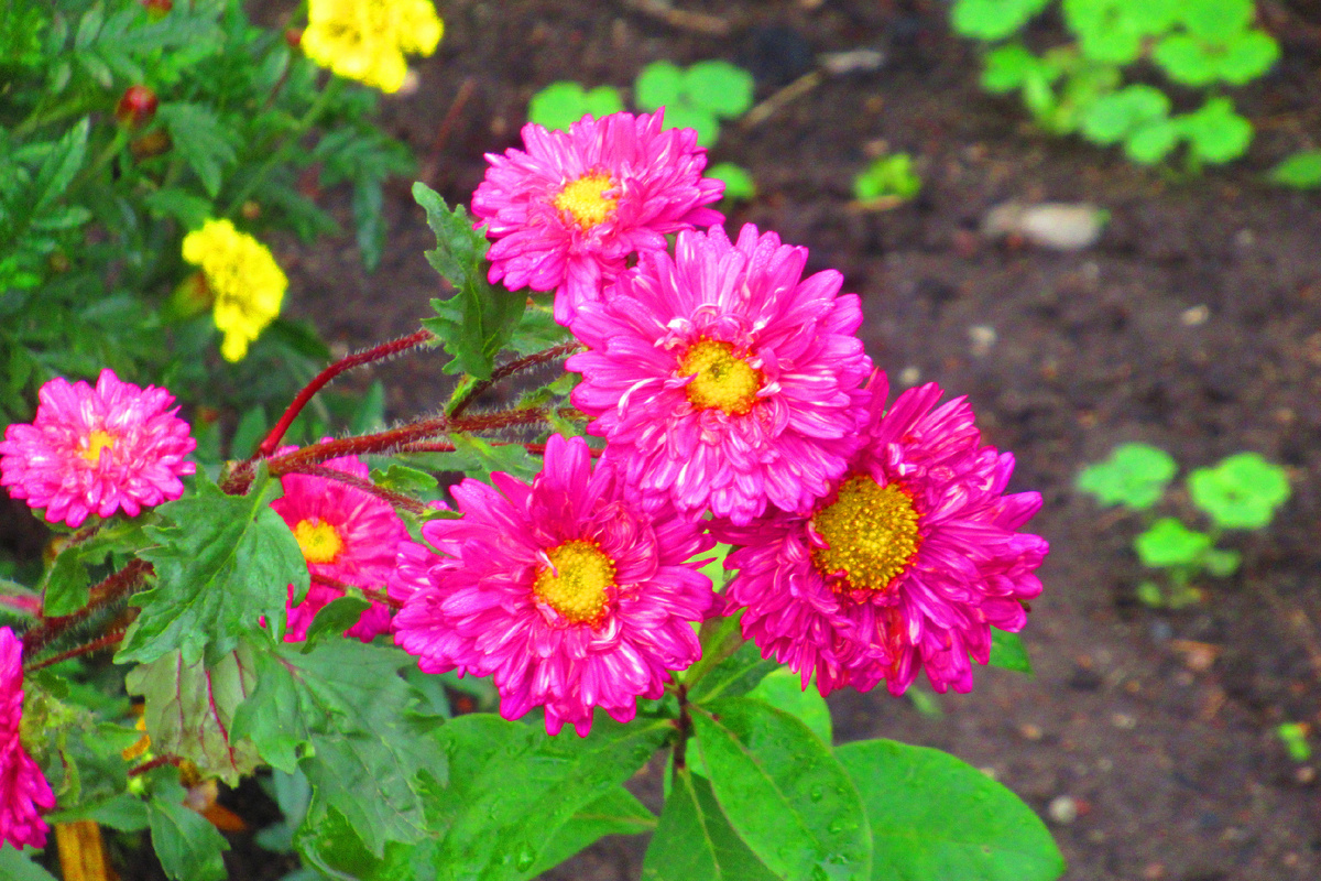 ©фото Марины Романовой 