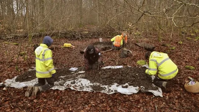 Археологи обнаружили клад, состоящий примерно из 2940 монет.(Изображение предоставлено: GDKE RLP, Landesarchäologie Кобленц)