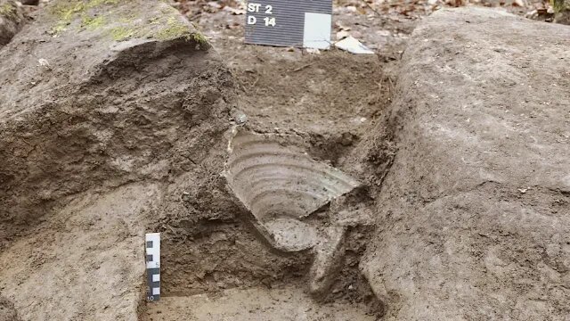 Остатки керамического горшка, в котором находился клад.(Изображение предоставлено: GDKE RLP, Landesarchäologie Кобленц)