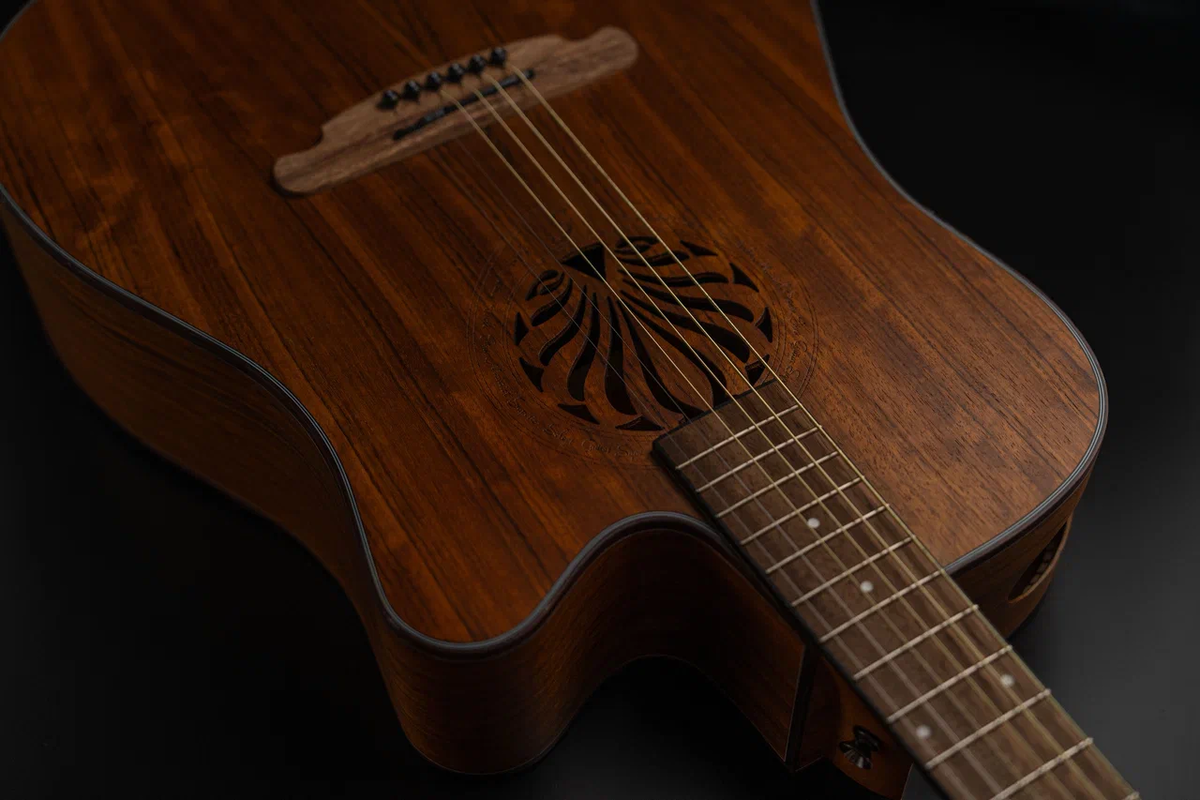 Акустическая гитара SQOE SQ-N