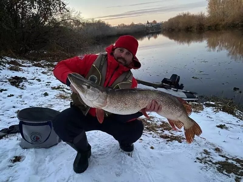     Источник: Соцсети