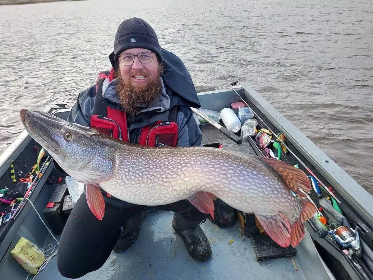     Источник: Соцсети