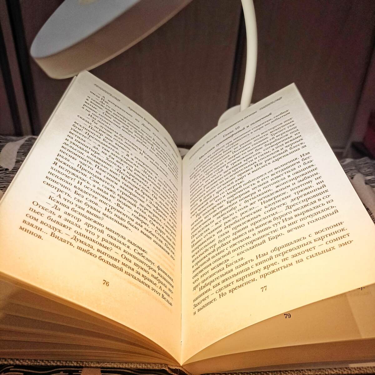 чтение перед сном, фото автора