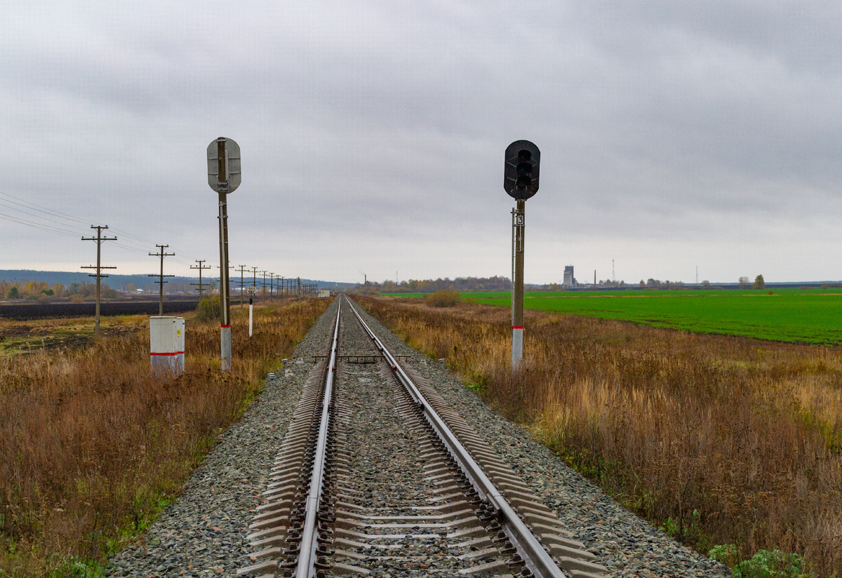Вид в сторону ст. Шатки. Справа уже озимые растут.
