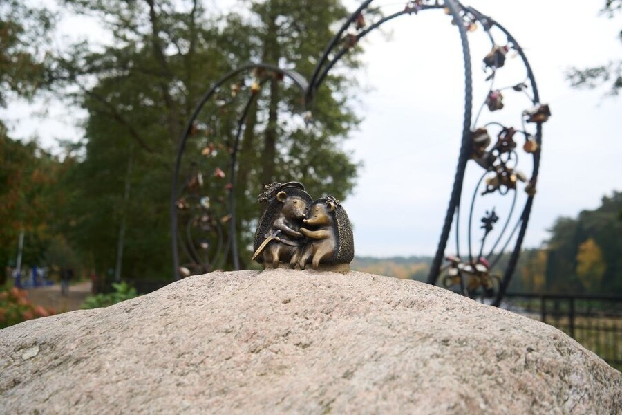 Листайте вправо, чтобы увидеть больше изображений