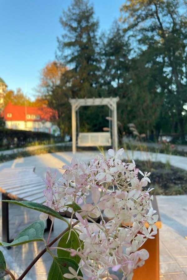 Листайте вправо, чтобы увидеть больше изображений