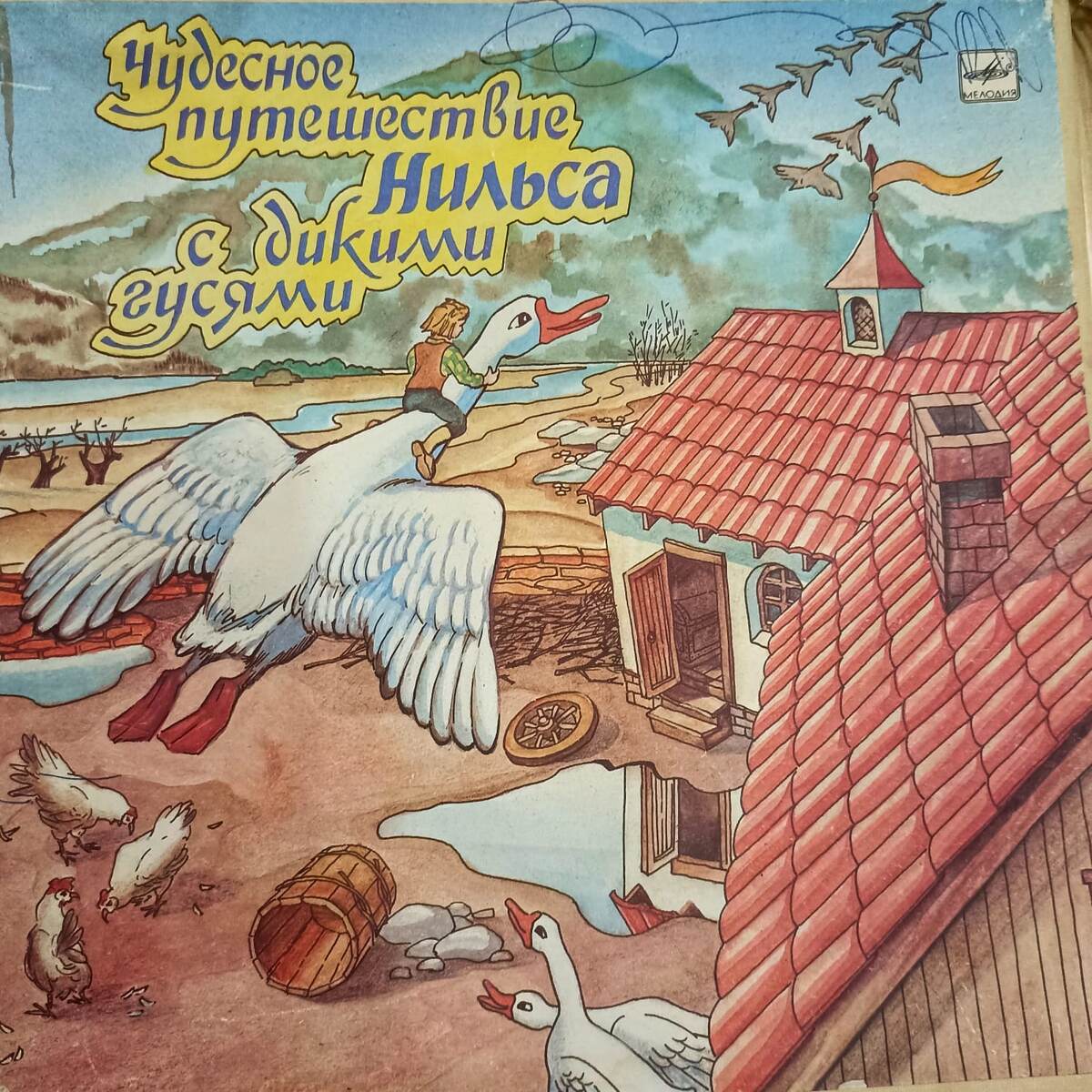 фото автора. листайте ➡️