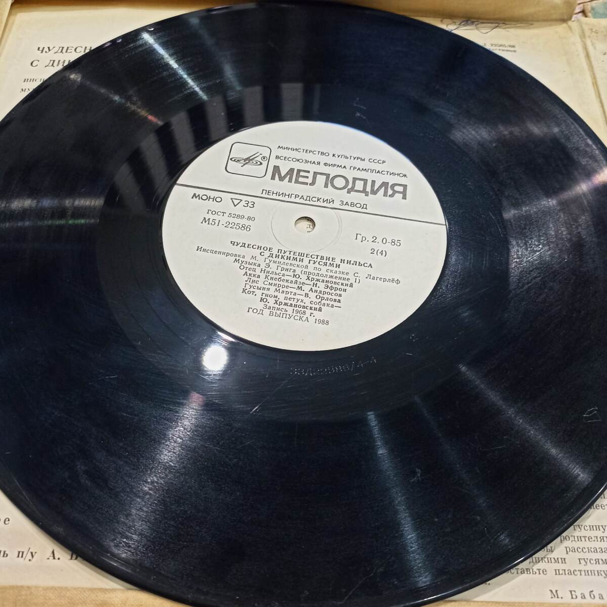 фото автора