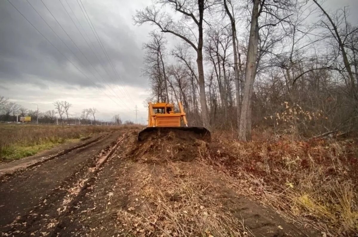   В Дёме появится тропа здоровья протяженностью более 3 км