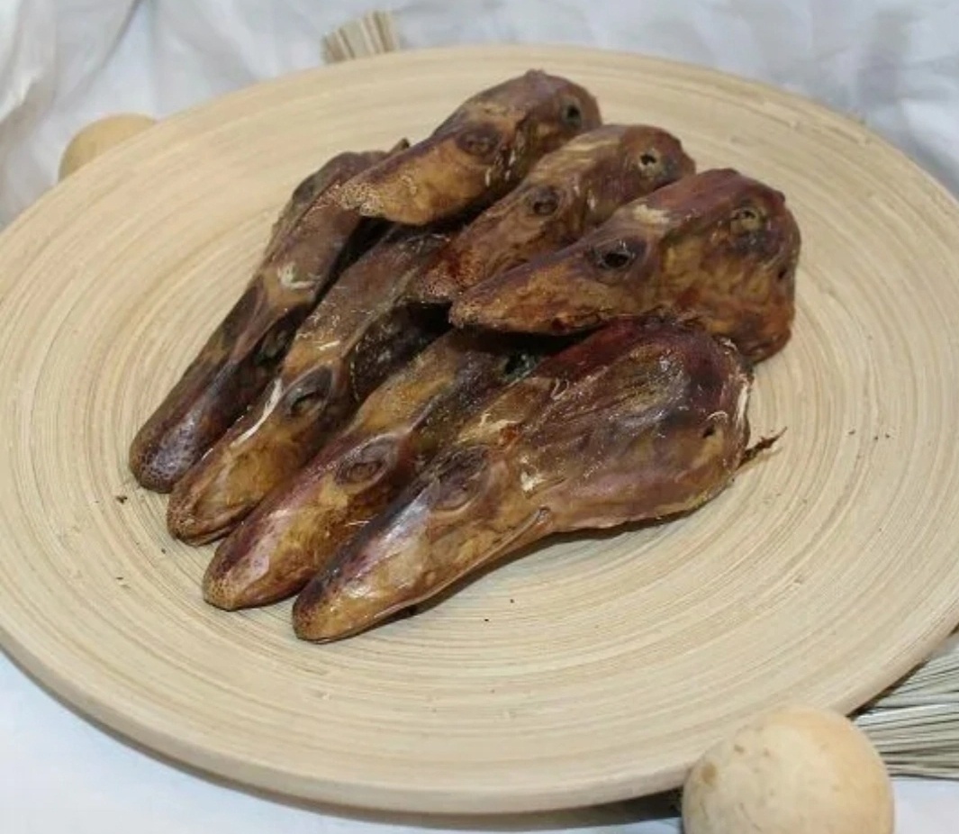 Из личного архива. Утиные головы.