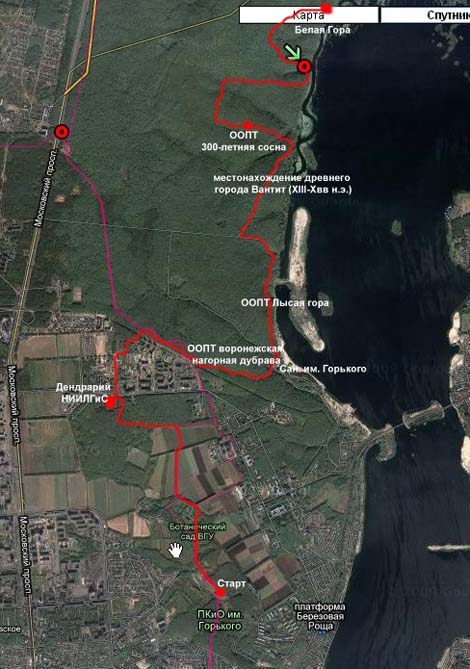 Фото: communa.ru