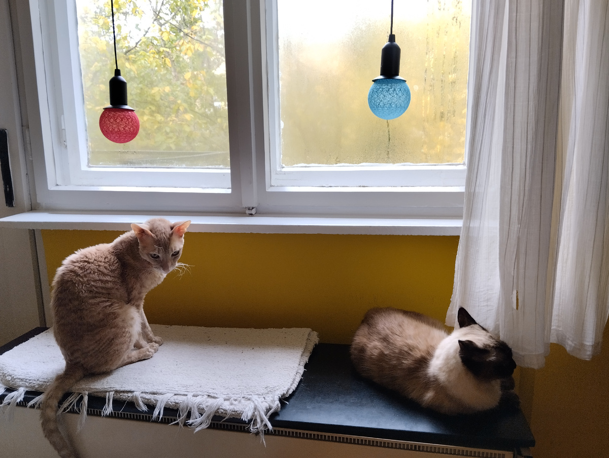 Зефир и Пух