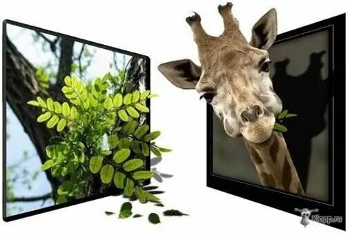 Фото из интернета