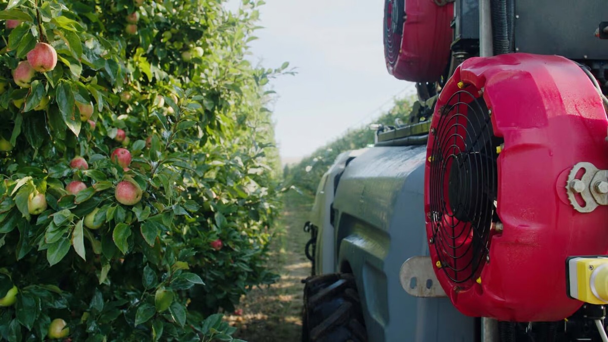 Фото: Robotics Plus