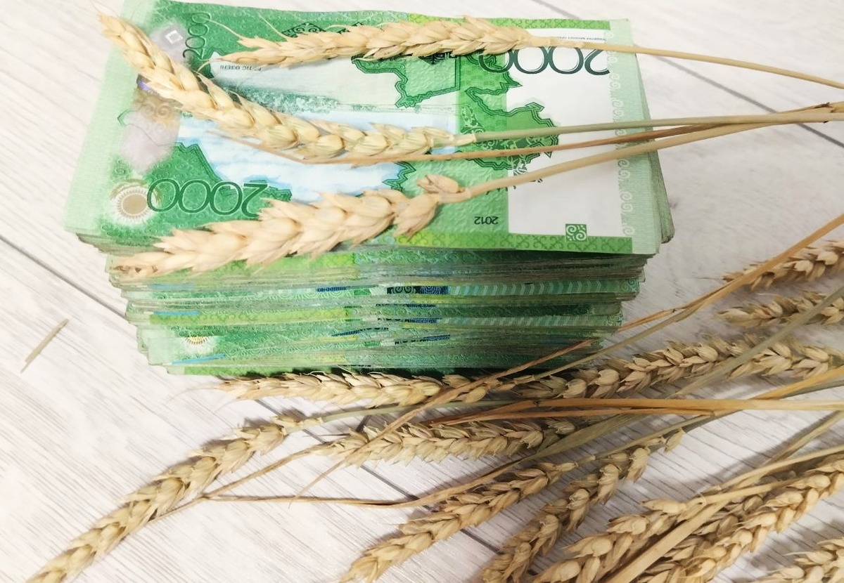 Фото: АПК НОвости