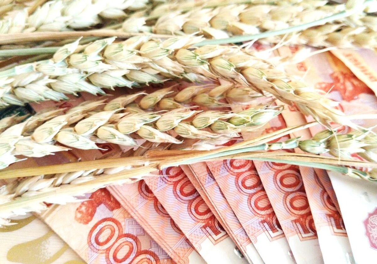 Фото: АПК Новости