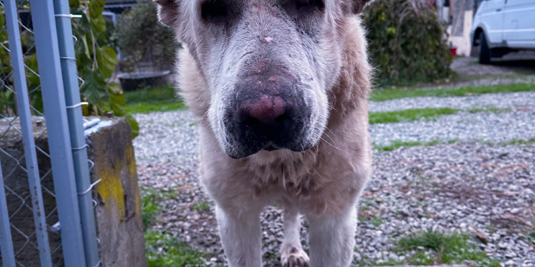 Подписывайтесь! https://youtube.com/@-inna?si=MvDpiKMggSl_VVdy