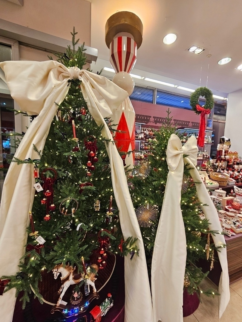    С каждым годом новогодние ели появляются всё раньше и раньше.Евгения Назарова