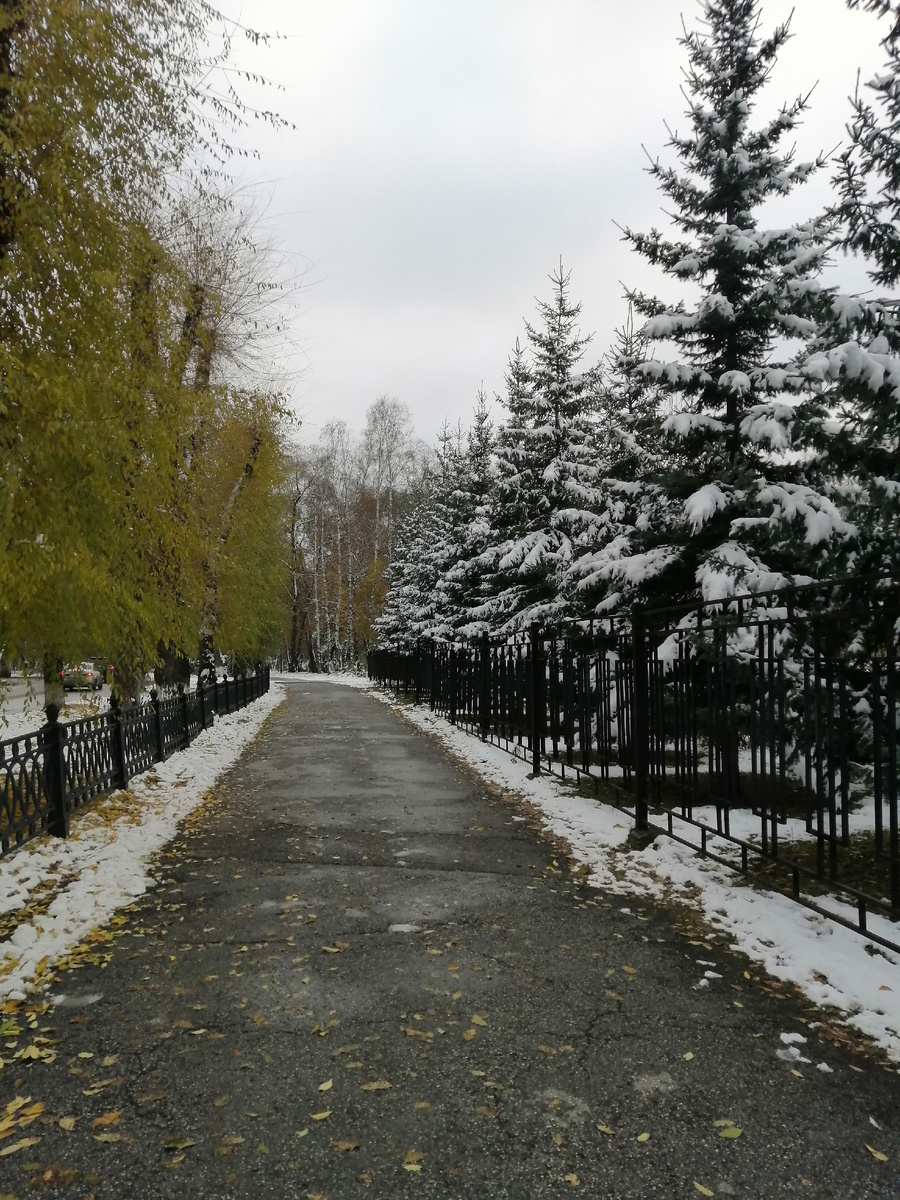 Осень встретилась с зимой