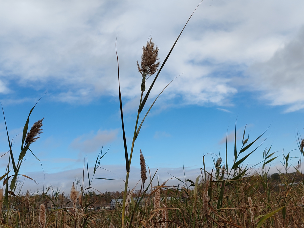 Фото автора канала. 