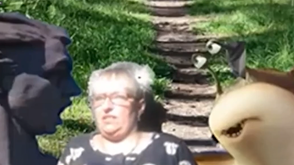 Фото: © Скриншот видео