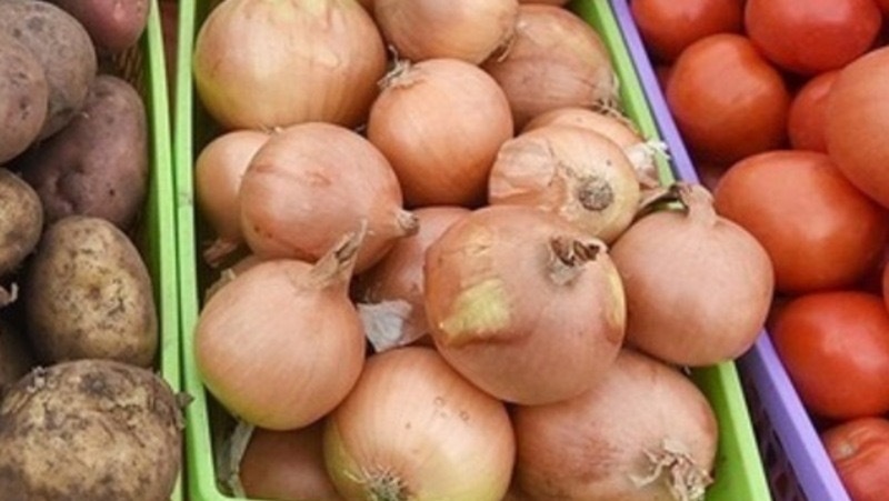      Фото: ИА «Победа26»