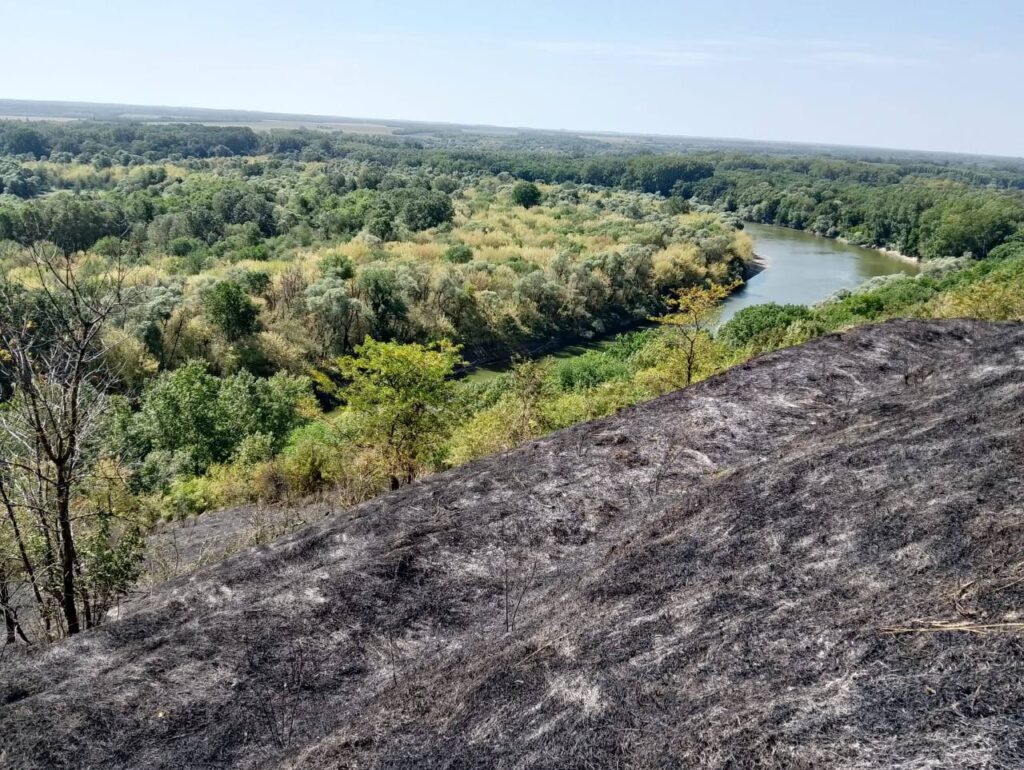    Последствия пожара близ станицы Ладожской. Фото: пресс-служба министерства