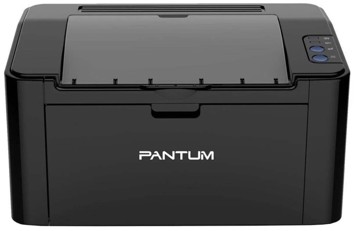 Принтер Pantum P2516 черный 