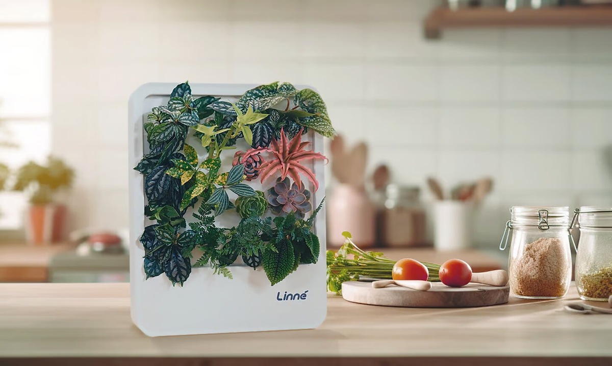 Фото: Linne Box