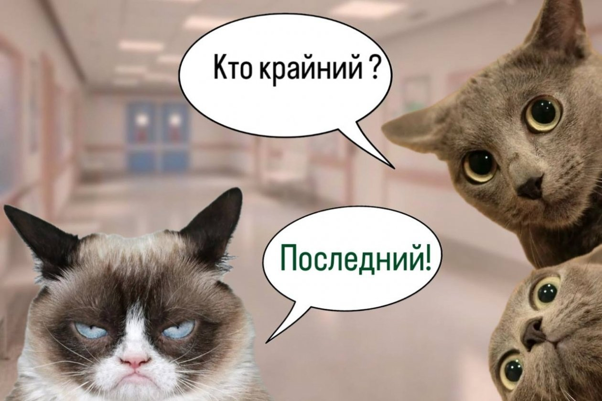 Фото - интернет