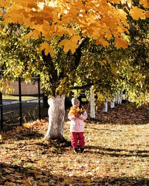  Фото: Ольга Подгорных