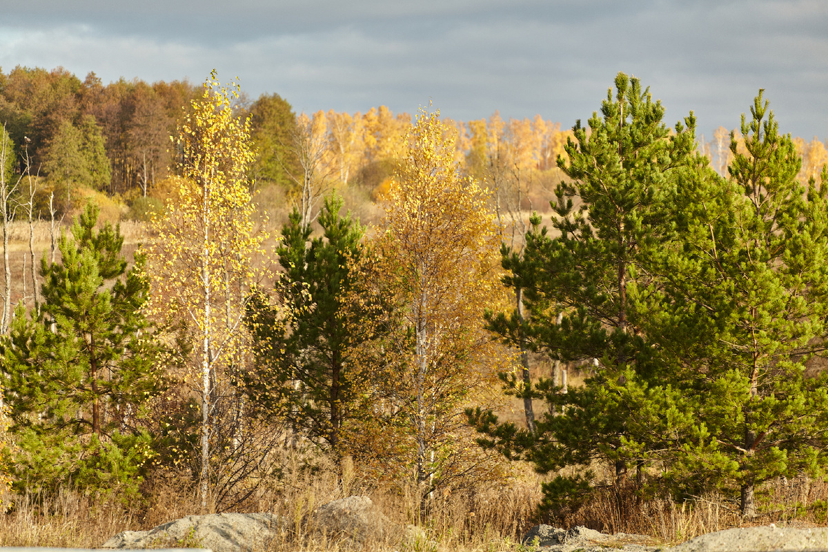 Canon EOS 5D Mark II, Canon EF 70-200 mm f/4.0 L USM
