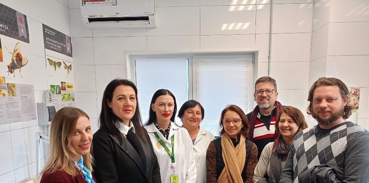     Россия отгружает в Бразилию пшеницу и усиливает сотрудничество компетентных ведомств
