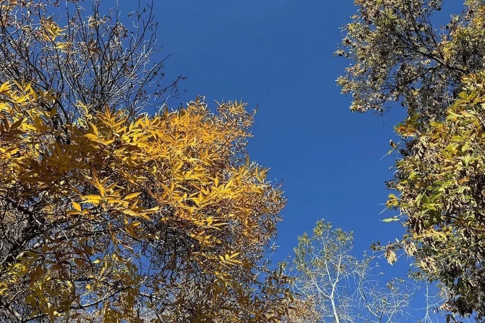 Фото: UfacityNews.ru