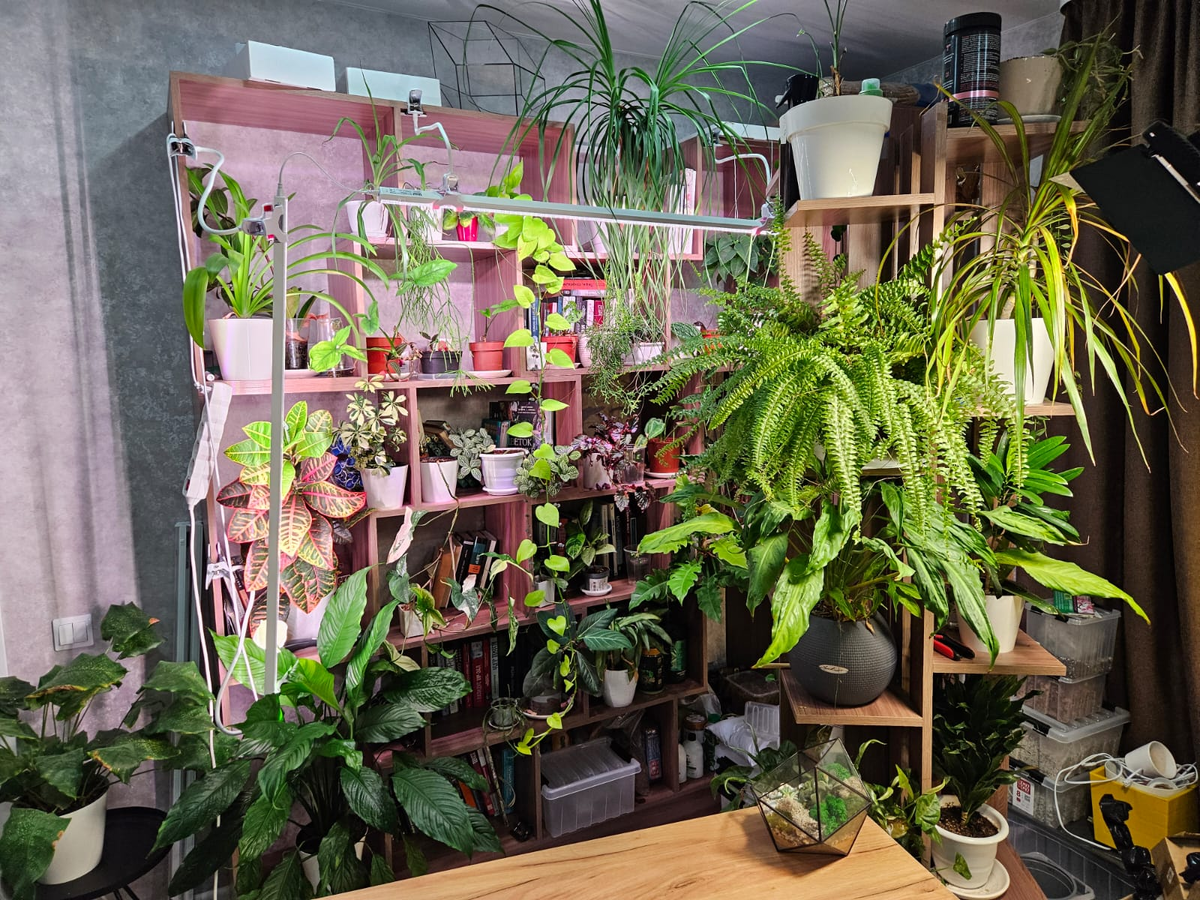 Небольшая часть моей коллекции