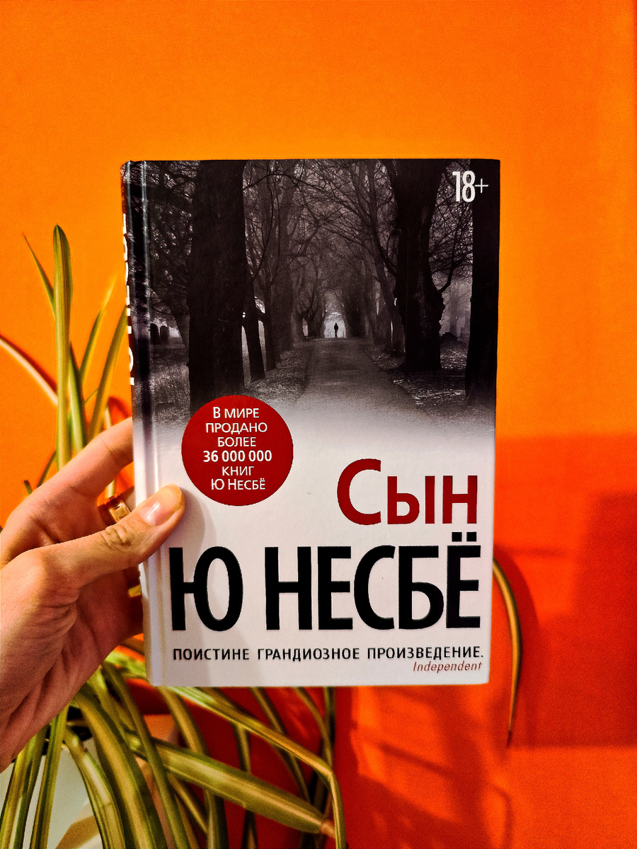 в моей руке книга Ю Несбё "Сын"