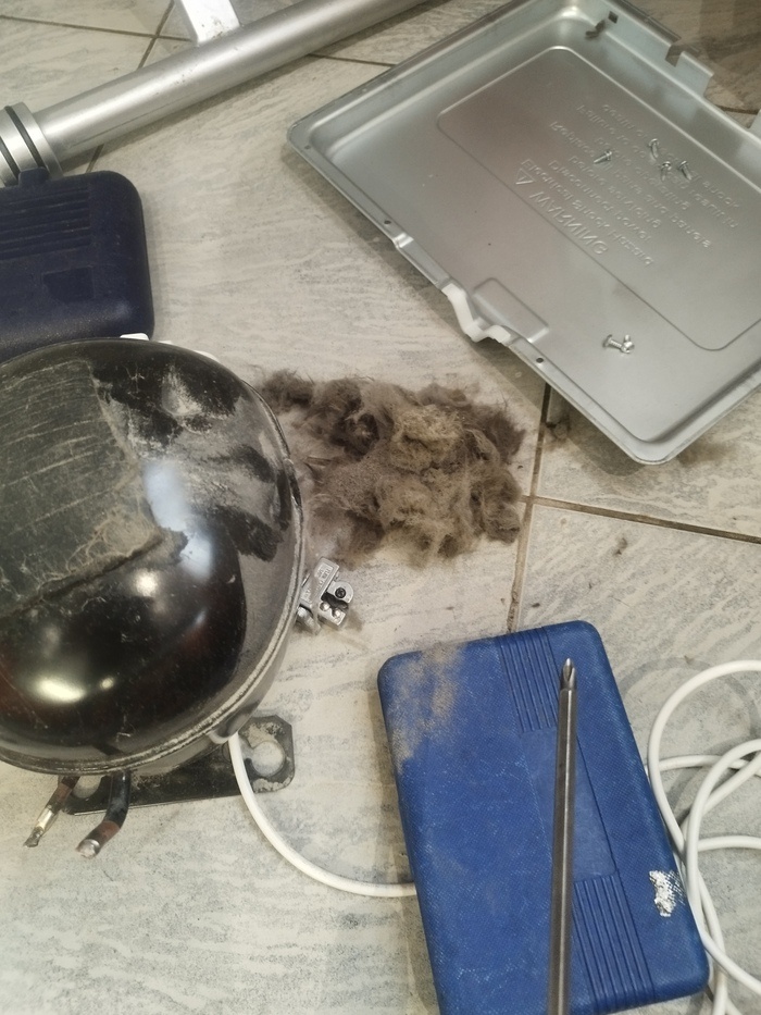 Далеко не самый большой объём шерсти, найденный нами при ремонте).