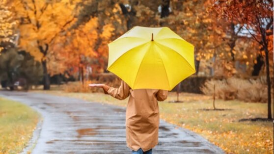    Последние выходные октября будут в Кузбассе дождливыми Ирина Петрова