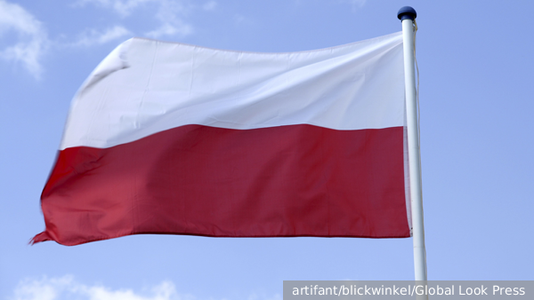     Фото: artifant/blickwinkel/Global Look Press   
 Текст: Вера Басилая