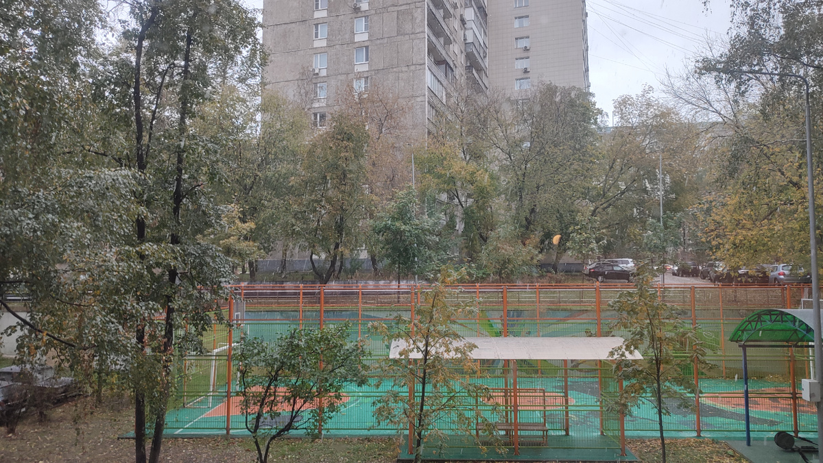 За окном - первый снег , вид из окна московской квартиры 