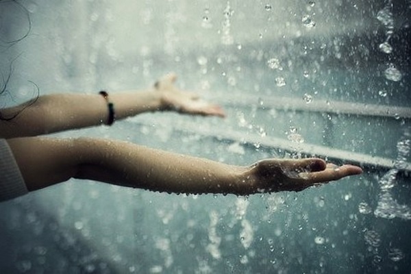    The Daily Enlightenment