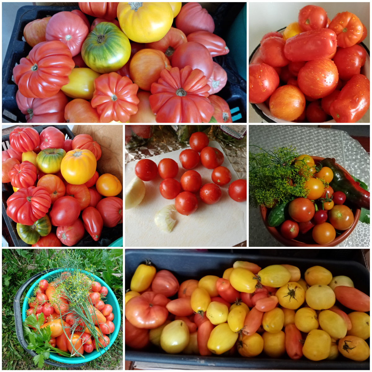 урожай 🍅 альбом автора 