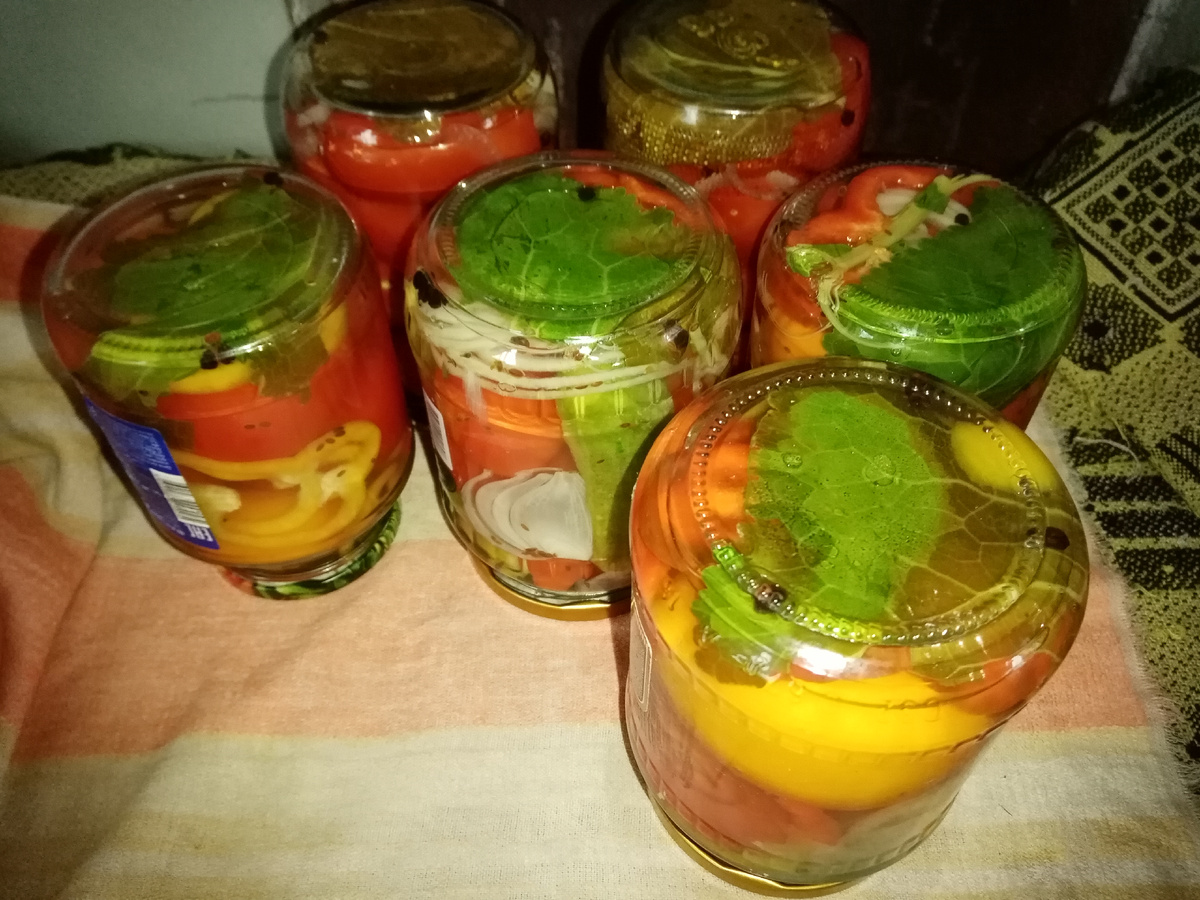 маринованые 🍅 фото автора и заготовки тоже..