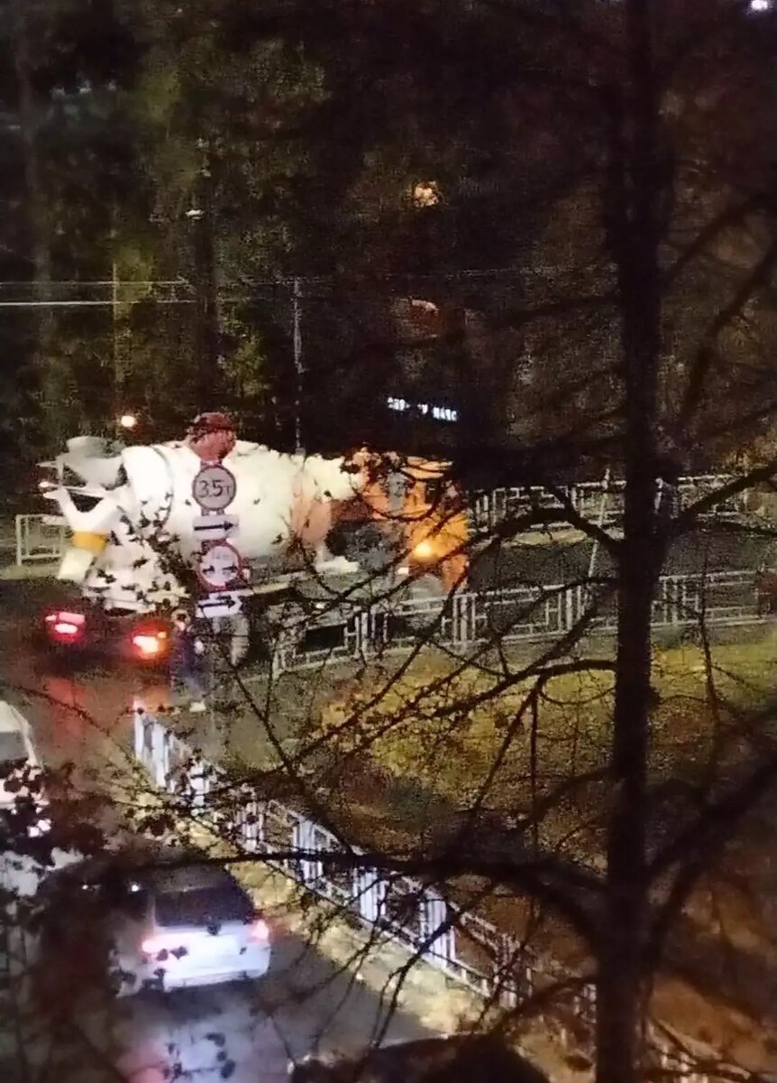     Источник: ДТП Петрозаводска и Карелии / vk