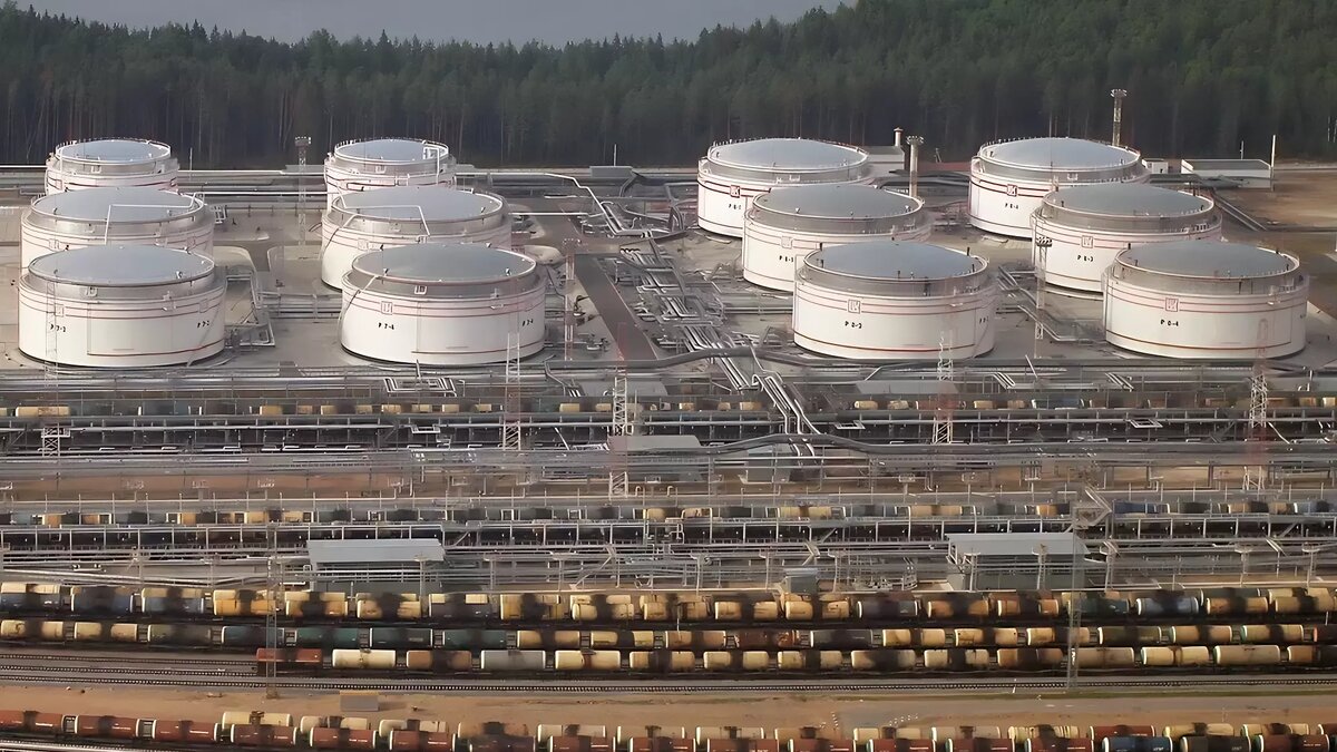     Автор: ТАСС