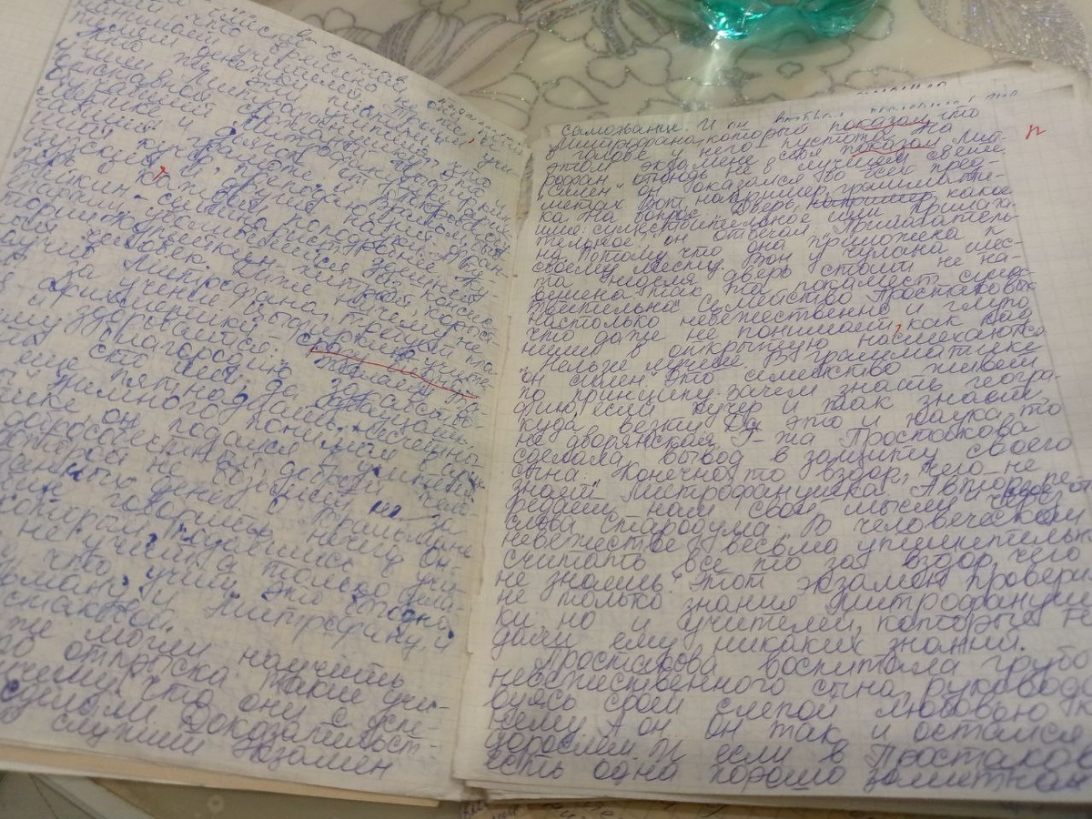 Фонвизин "Недоросль" - пороки дворянского общество на примере одной семьи.