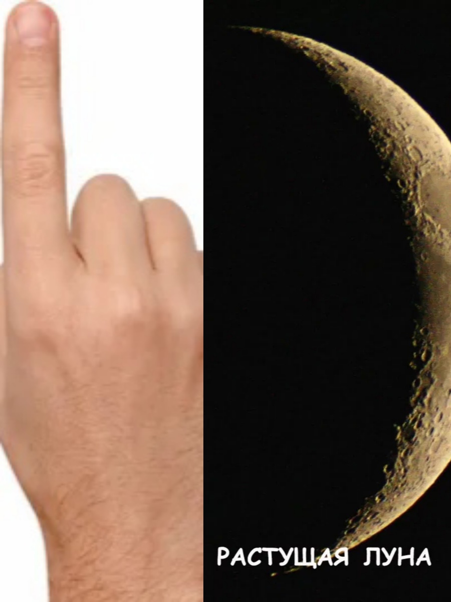 Фотоколлаж автора статьи 