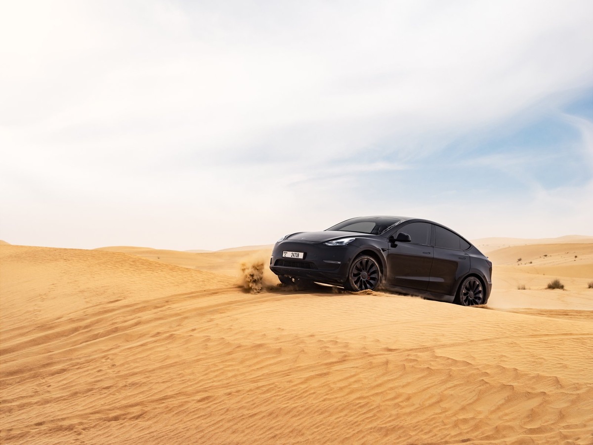    Tesla Model Y
