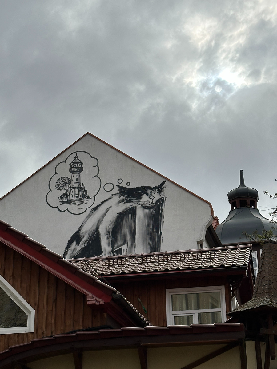 В Зеленоградске изображения котов буквально на каждом шагу. Автор фото: Анастасия Тронькова.